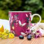Preview: Orchard Tasse, Deep Mauve - Sara Miller by Portmeirion