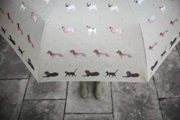 Sophie Allport Regenschirm, Cats and Dogs